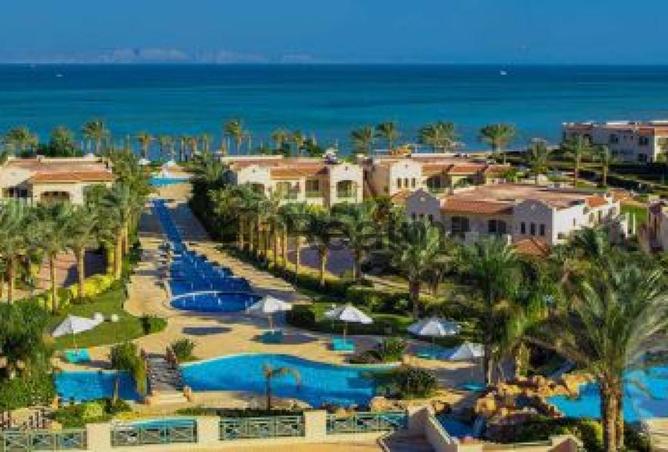 66167698 - صورة العقار 3