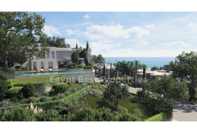 66172826 - صورة العقار 3