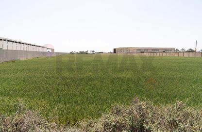 Land - Studio for sale in Hay Al Amereyah - Alexandria