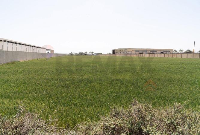 64897243 - الصورة الرئيسية للعقار