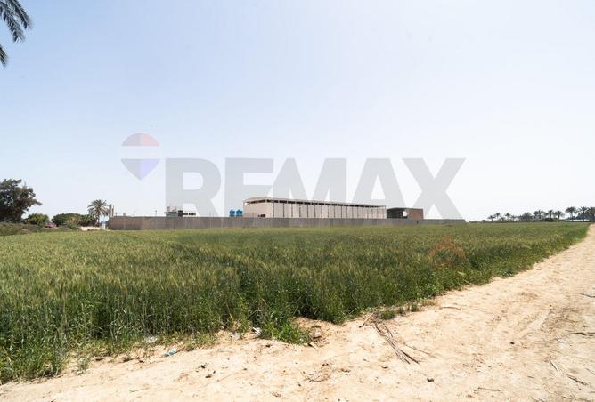 64897243 - صورة العقار 2