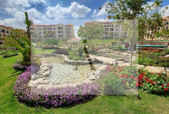 57242135 - Property Image 2