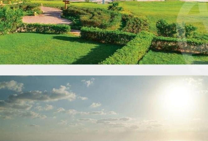 53719670 - صورة العقار 3