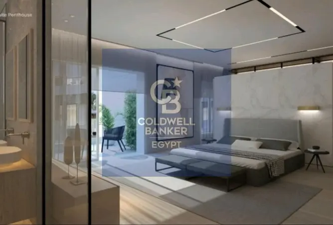 116493141 - Property Image 3