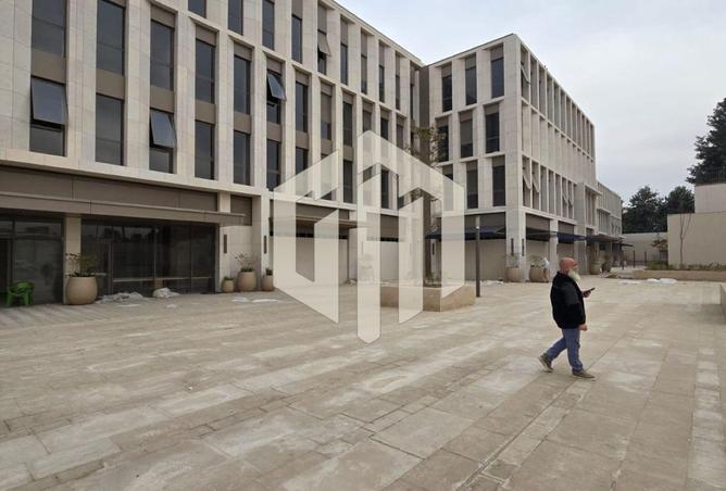 55749242 - Property Image 3