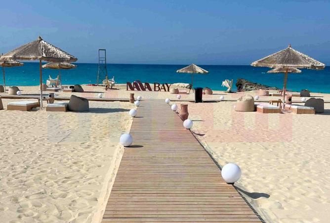 66697716 - صورة العقار 2