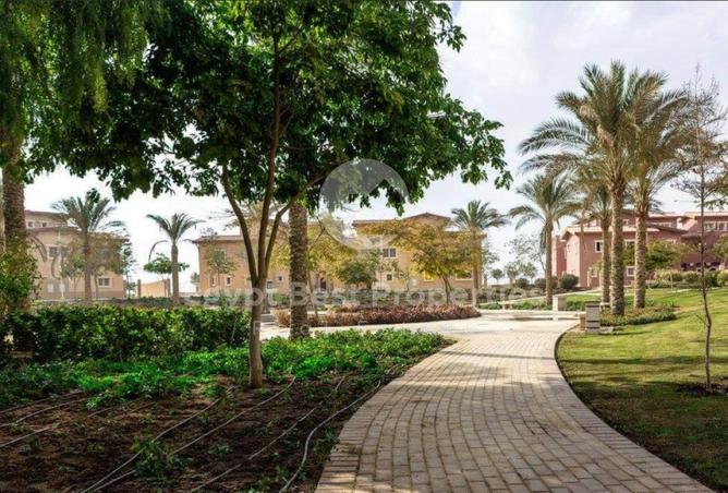 66953944 - Property Image 3