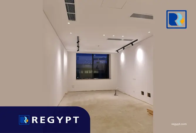 117263872 - Property Image 2