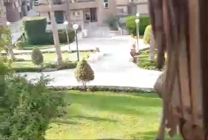 8557568 - صورة العقار 2