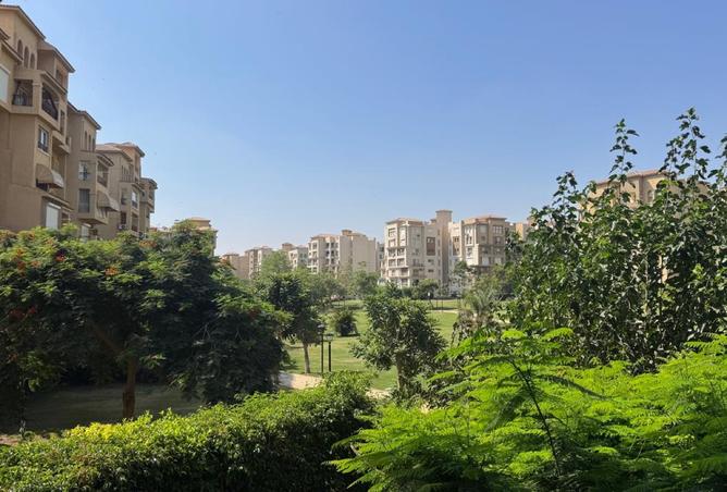 109355230 - صورة العقار 3