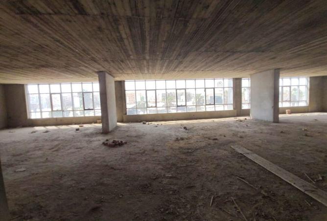 8628129 - Property Image 3