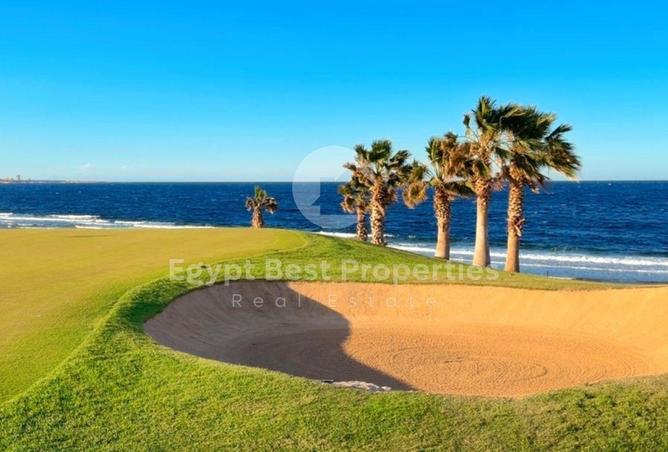 67735313 - صورة العقار 3