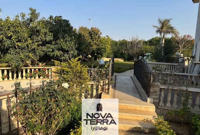 96037419 - صورة العقار 3