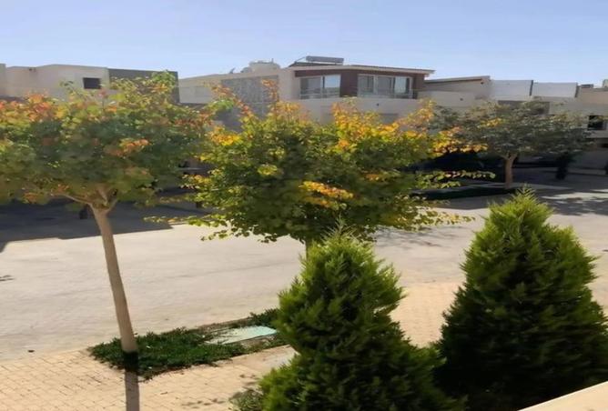 81567245 - Property Image 2