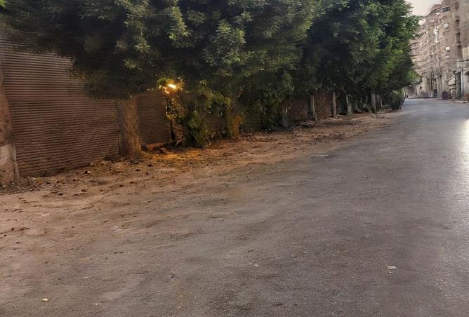 98814975 - صورة العقار 3