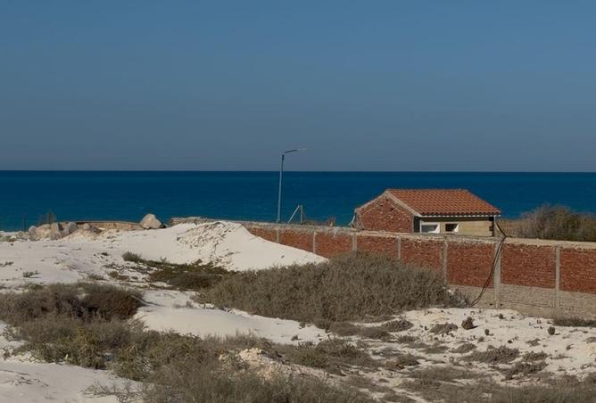 70107561 - Property Image 2