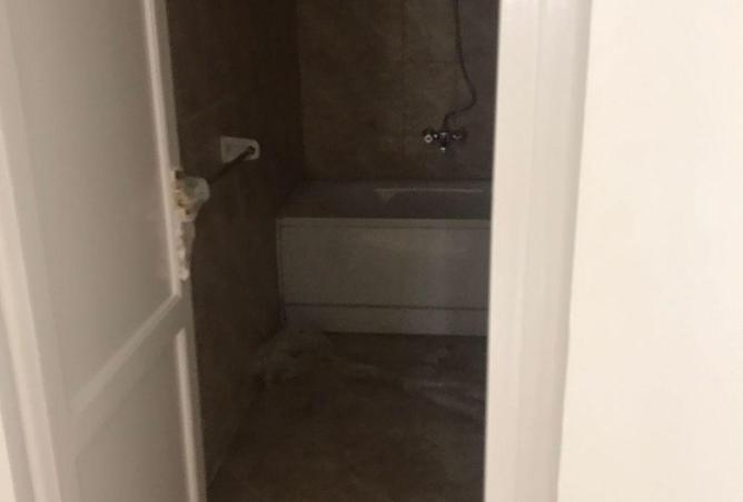 54495262 - Property Image 3