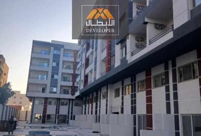 66685976 - Property Image 2