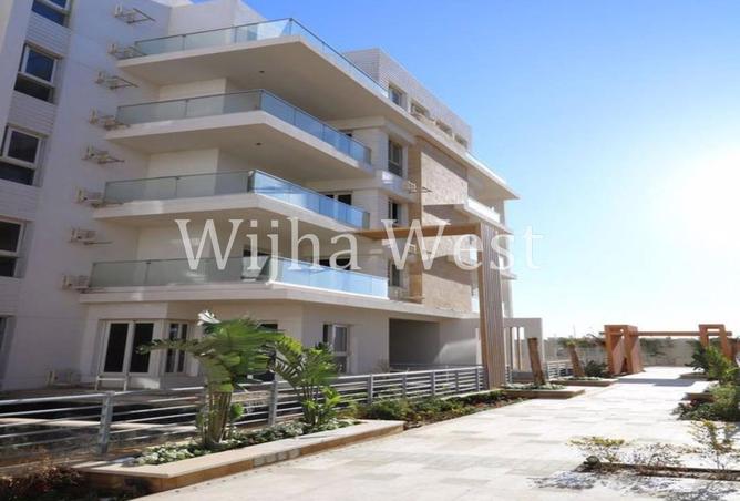 102915873 - Property Image 3
