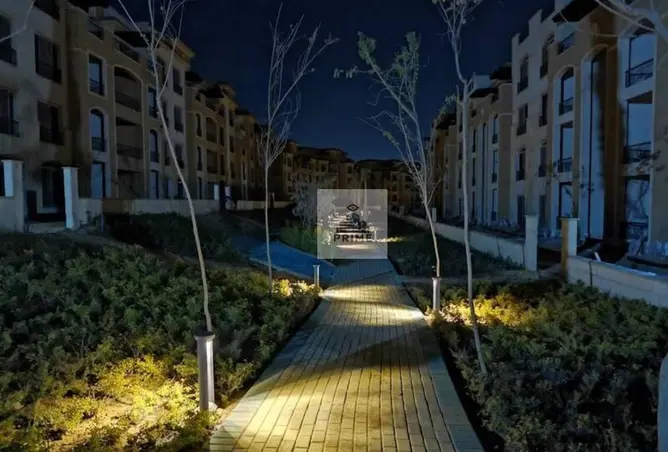 113533149 - Property Image 3