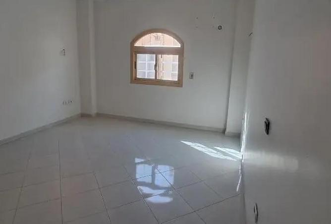 8685722 - Property Image 3