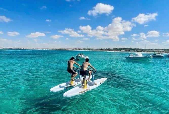 58493760 - صورة العقار 2