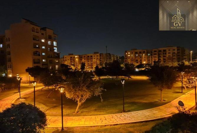 56504310 - Property Image 3