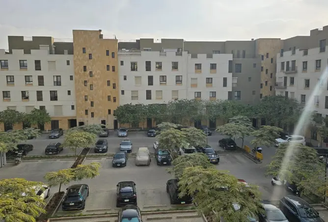 117269558 - صورة العقار 3