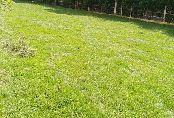 69048097 - صورة العقار 3