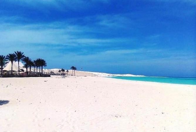79457775 - Property Image 3