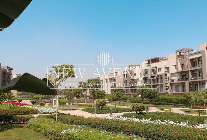 57240717 - صورة العقار 3