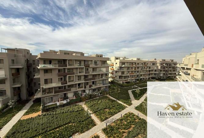 8518728 - Property Image 3