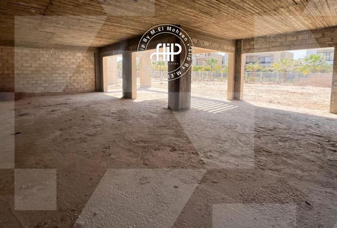 53478172 - Property Image 2