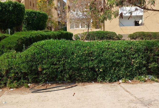 8520282 - صورة العقار 3