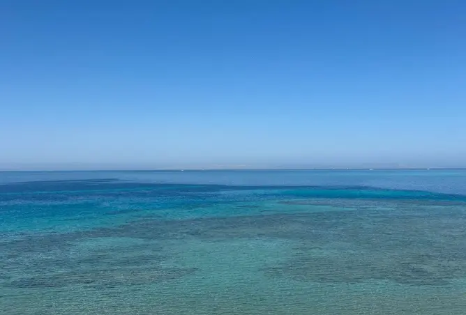 111019565 - صورة العقار 3
