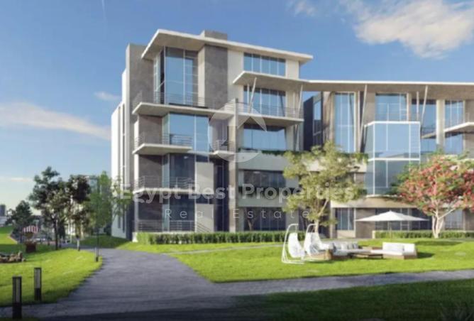 8645194 - Property Image 3