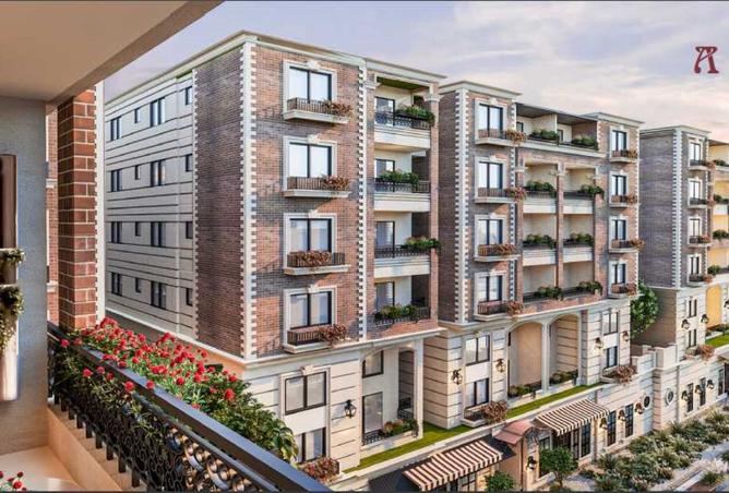 8379392 - Property Image 3