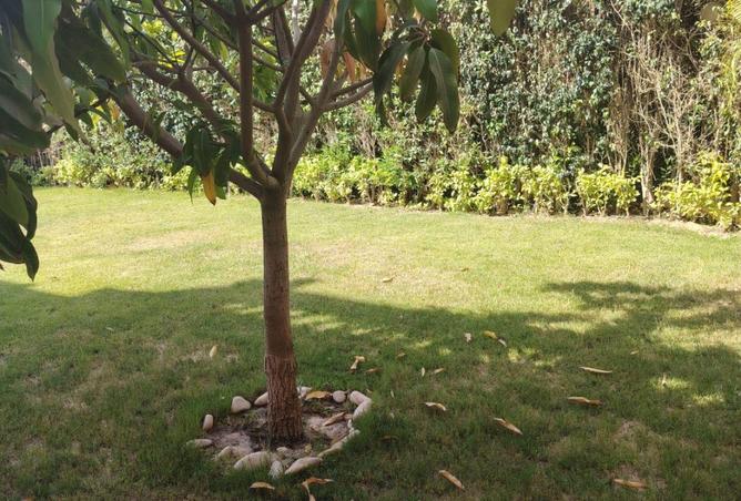 54246973 - صورة العقار 2