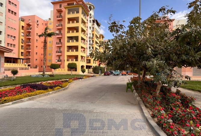 63888859 - صورة العقار 2