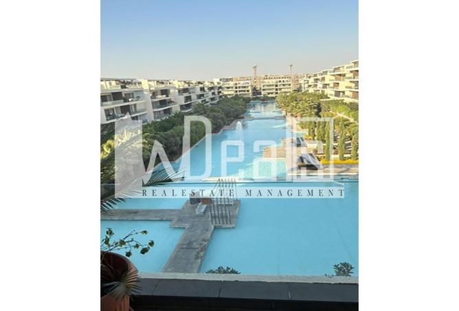 66435763 - Property Image 2