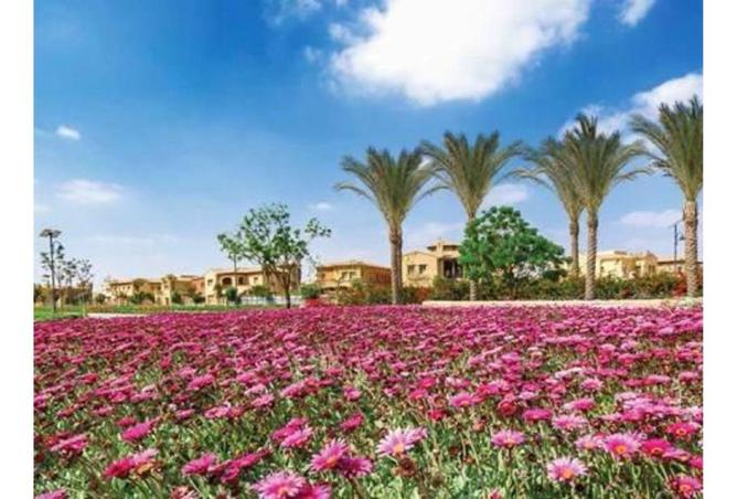 53735345 - Property Main Image