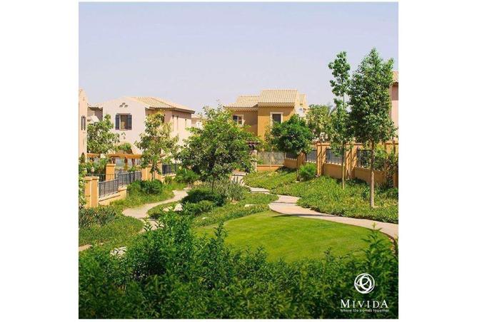 53735345 - Property Image 2