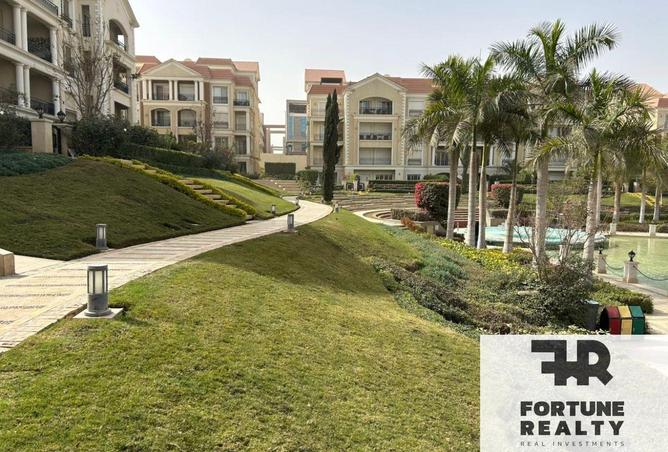 64636853 - Property Image 3