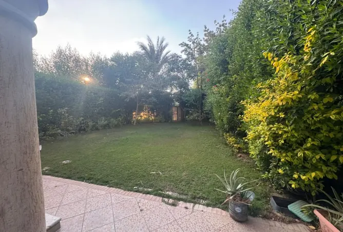 118550929 - Property Image 2
