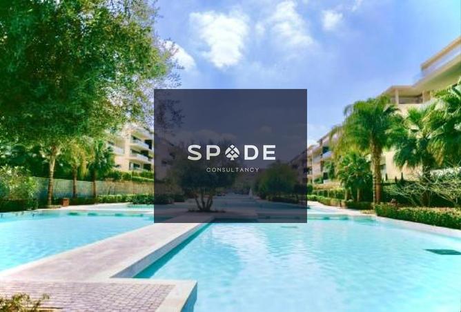 8512848 - Property Image 3