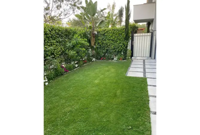 118813544 - صورة العقار 2