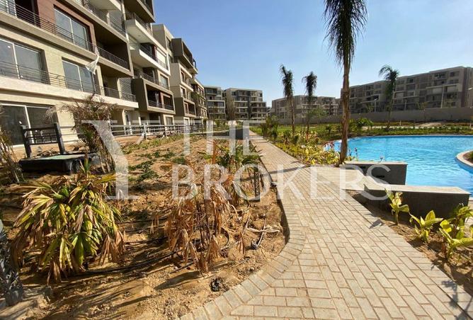 52710207 - Property Image 3