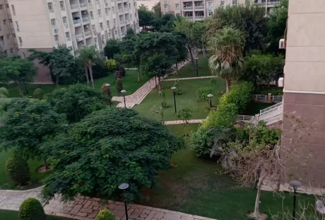111880080 - صورة العقار 3