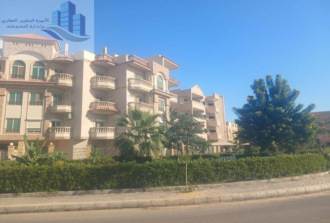 74599027 - صورة العقار 3