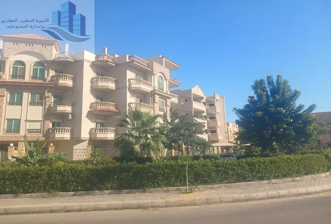 74599027 - صورة العقار 3